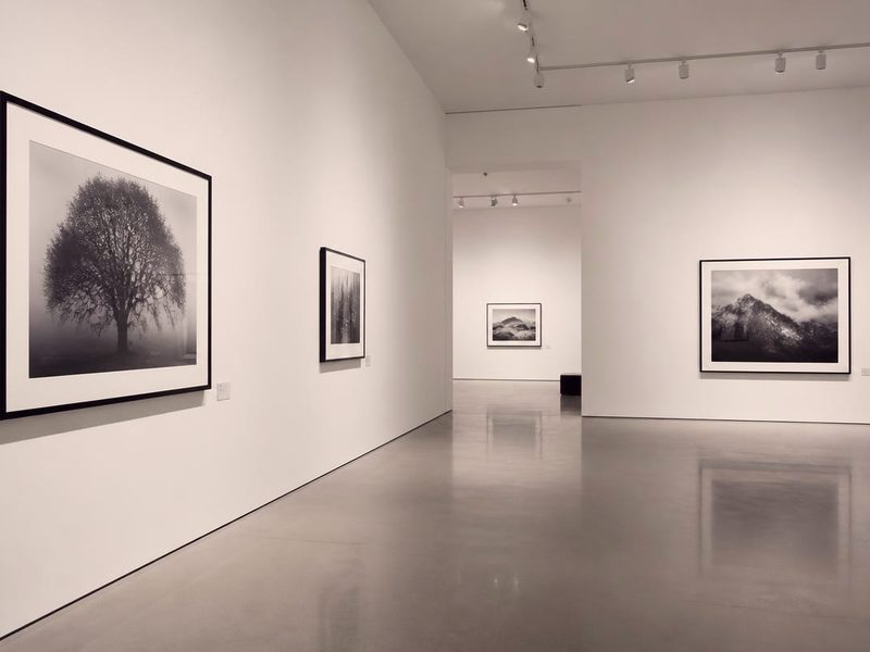 Galeria sztuki w Wiedniu